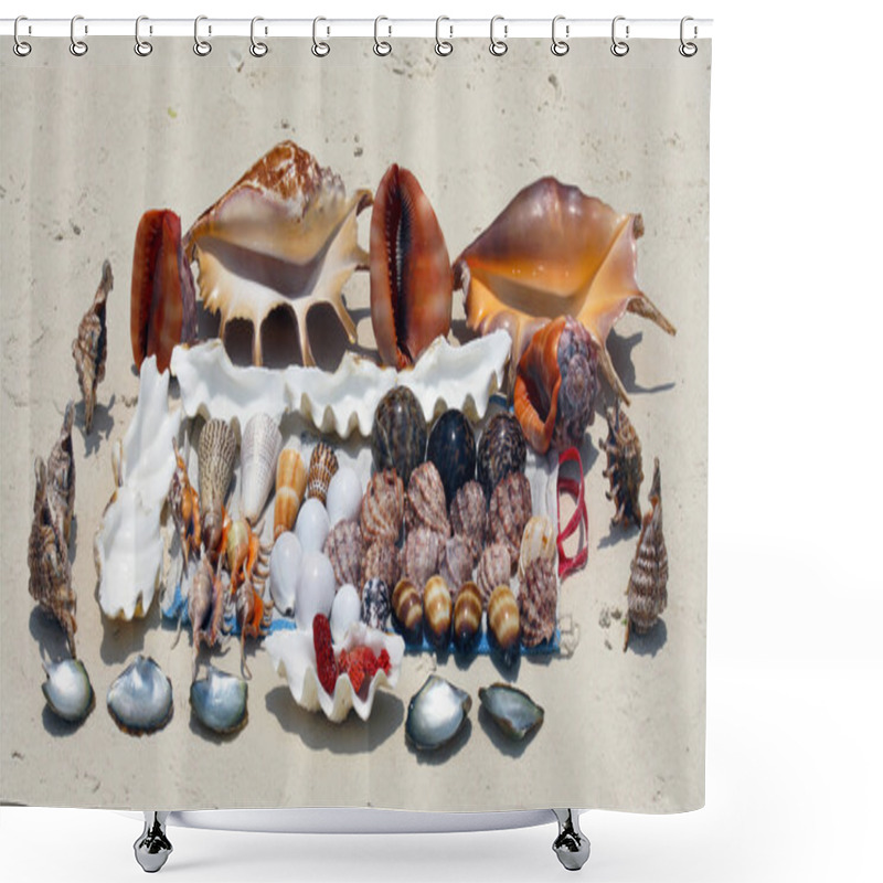 Personality  Seashells In Zanzibar Shower Curtains