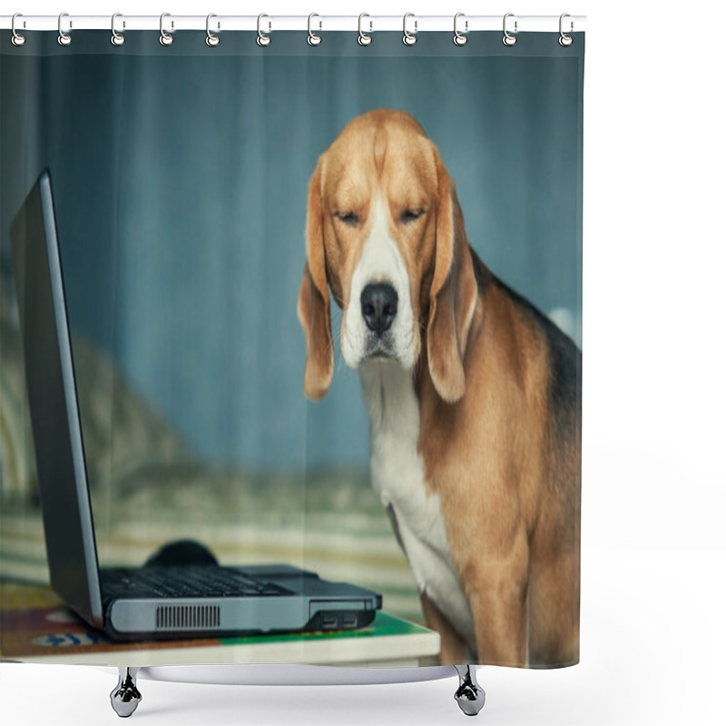 Personality  Dog With Laptop Shower Curtains