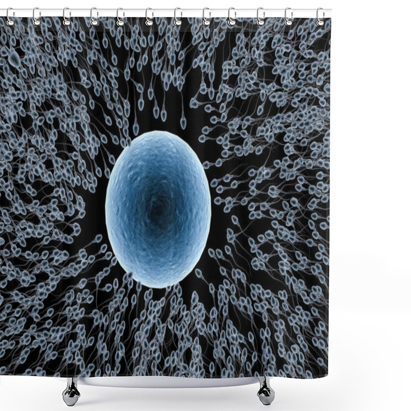 Personality  X Ray Sperm With Ovum Shower Curtains