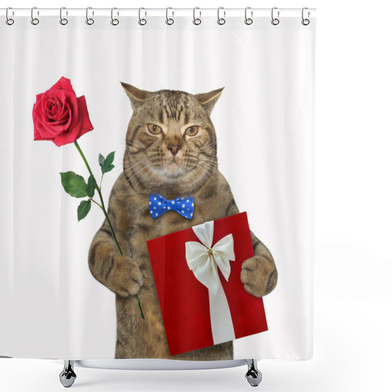 Personality  The Beige Cat In A Blue Bow Tie Holds A Rose And A Red Gift Box. White Background. Isolated. Shower Curtains