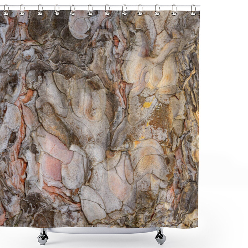 Personality  Peeling Scale-like Thin Layers On Pine Bark, Tree Growth Shower Curtains