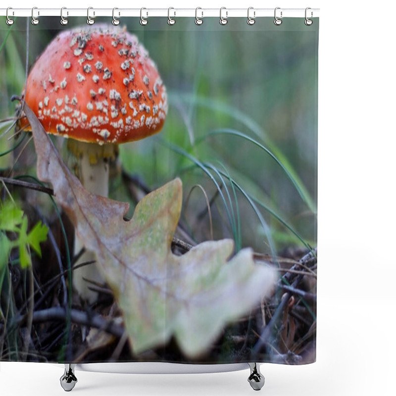 Personality  Amanita Muscaria Or Fly Agaric Is A Poisonous Mushroom Shower Curtains