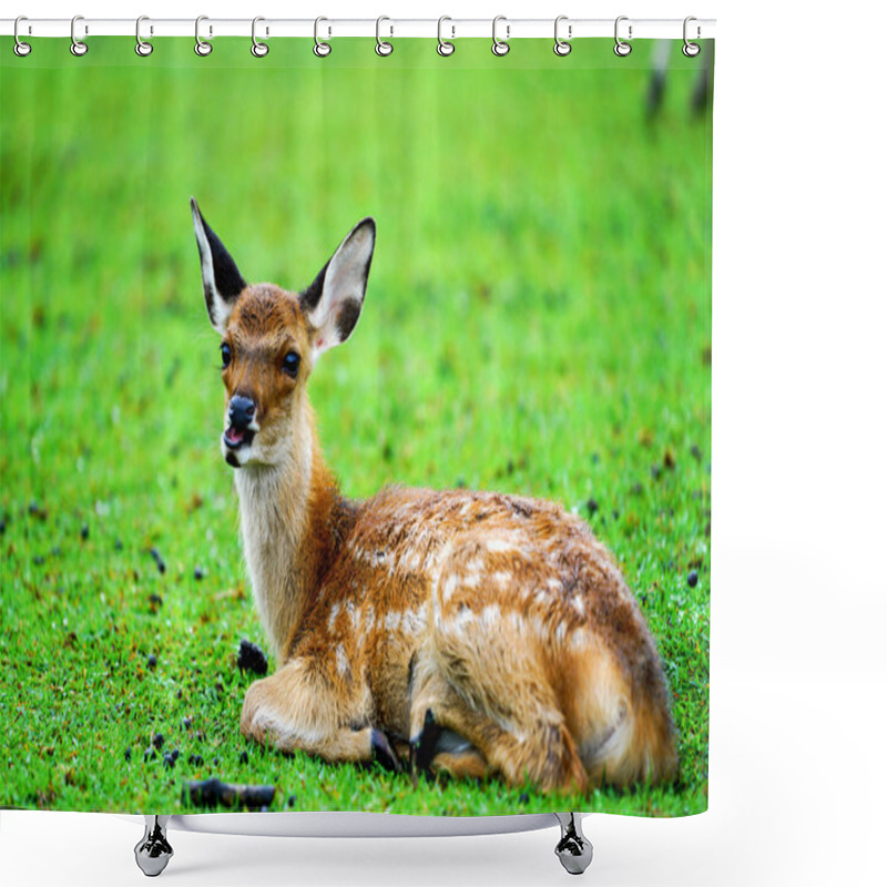 Personality  Deer Park,japan Shower Curtains