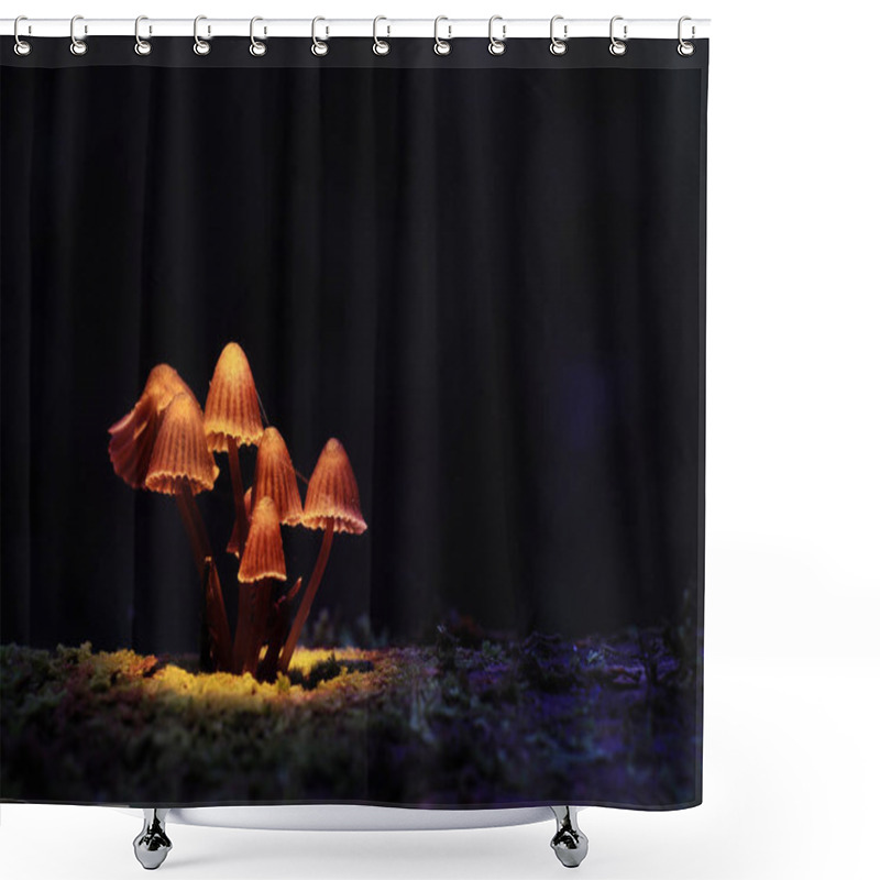 Personality  Small Poisonous Mushrooms Shower Curtains