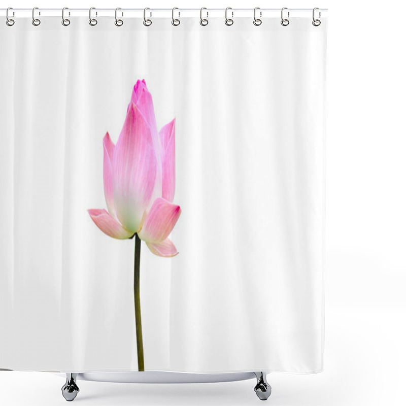 Personality  Lotus Flower Shower Curtains