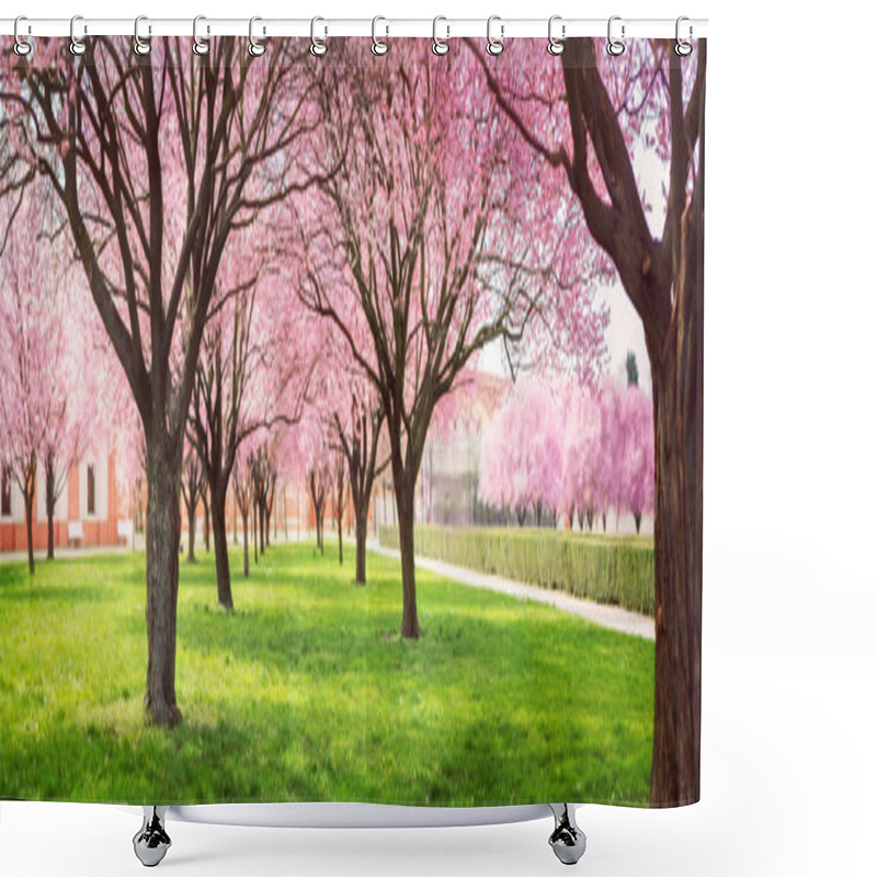 Personality  Panorama Of Cherry Blossom Trees Alley  Shower Curtains