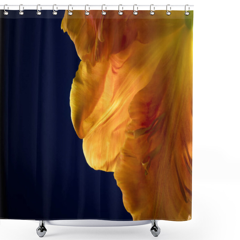 Personality  Curled Petals Of A Yellow-orange Flamed Parrot Tulip. Shower Curtains