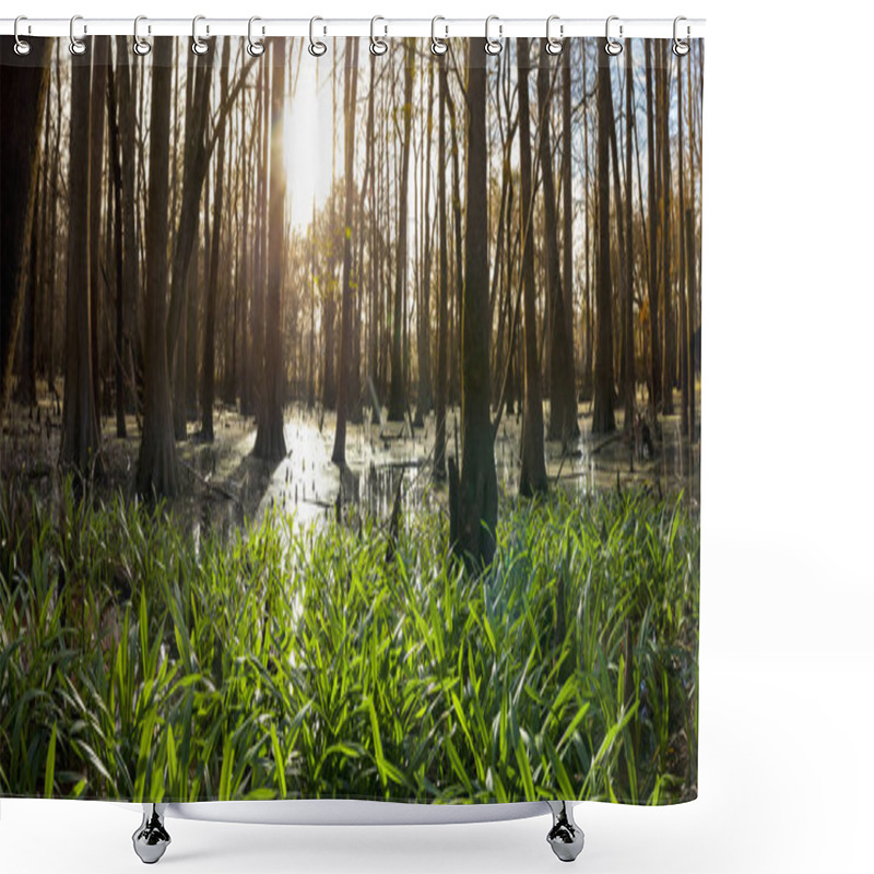 Personality  Suwanee River At Dawn Shower Curtains