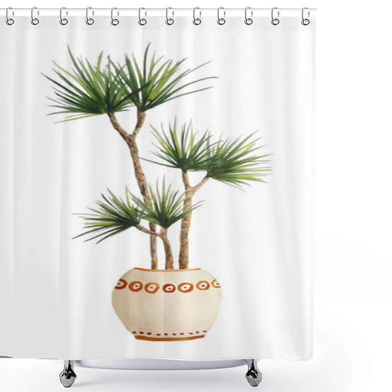 Personality  Watercolor Hand Drawn Illustration Of Dracaena Dragon Tree Plant On White Isolated Background. Interior Design Nature Lovers Flower Houseplant In Brown Clay Terra Cotta Pot Foliage Urban Tropical Shower Curtains