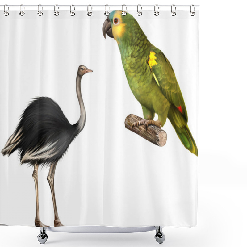 Personality  Green Parrot And Ostrich Shower Curtains