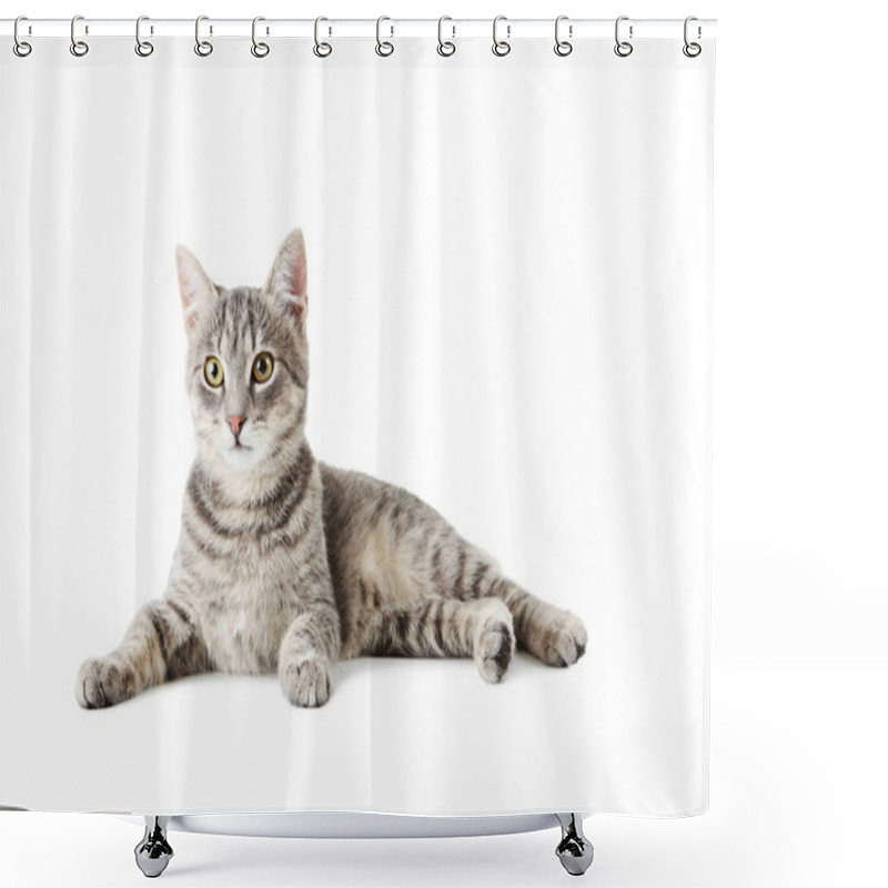 Personality  Beautiful Cat On White Shower Curtains