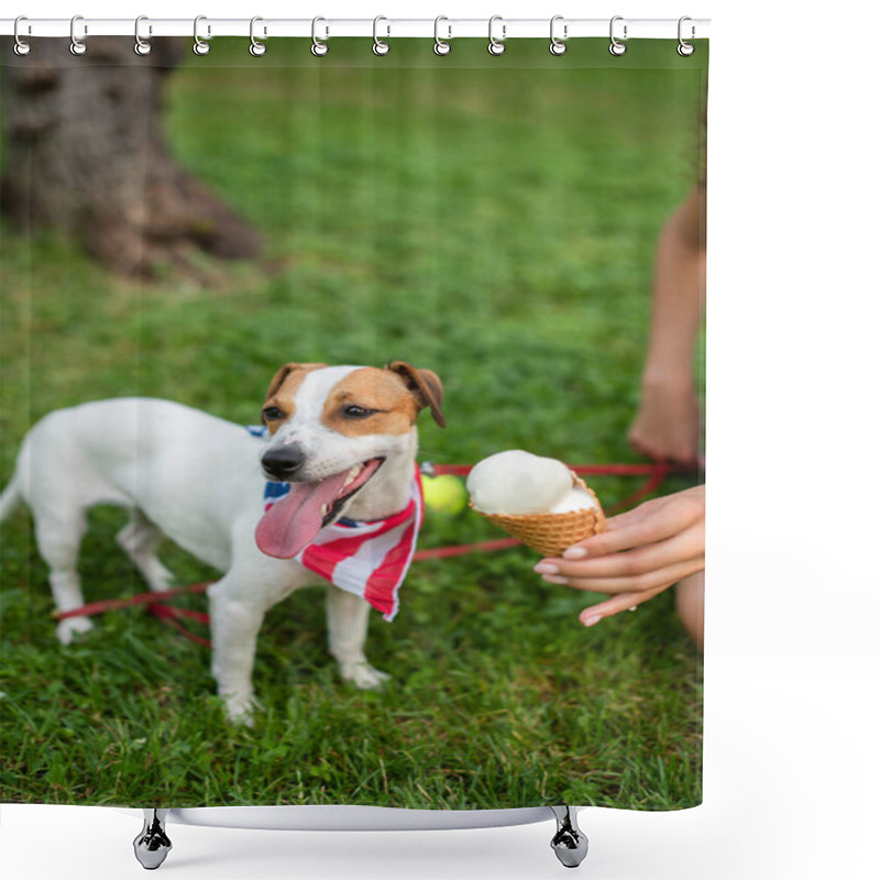 Personality  Cropped View Of Young Woman Giving Ice Cream To Dog In American Flag Bandana Shower Curtains