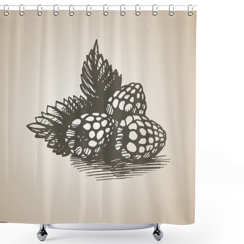 Personality  Fresh, Juicy Raspberries Shower Curtains