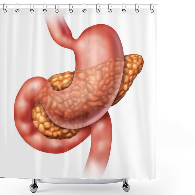 Personality  Pancreas Medical Concept Shower Curtains