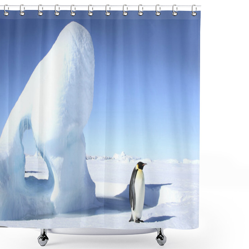 Personality  Emperor Penguin Shower Curtains