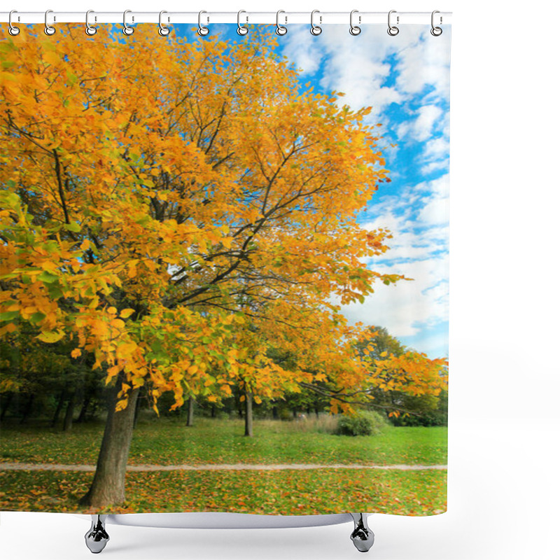 Personality  Beautiful Autumnal Tree In Park Shower Curtains