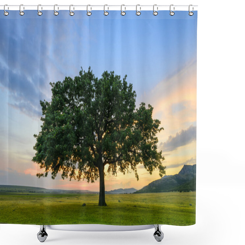 Personality  Beautiful Oak At The Sunset Shower Curtains