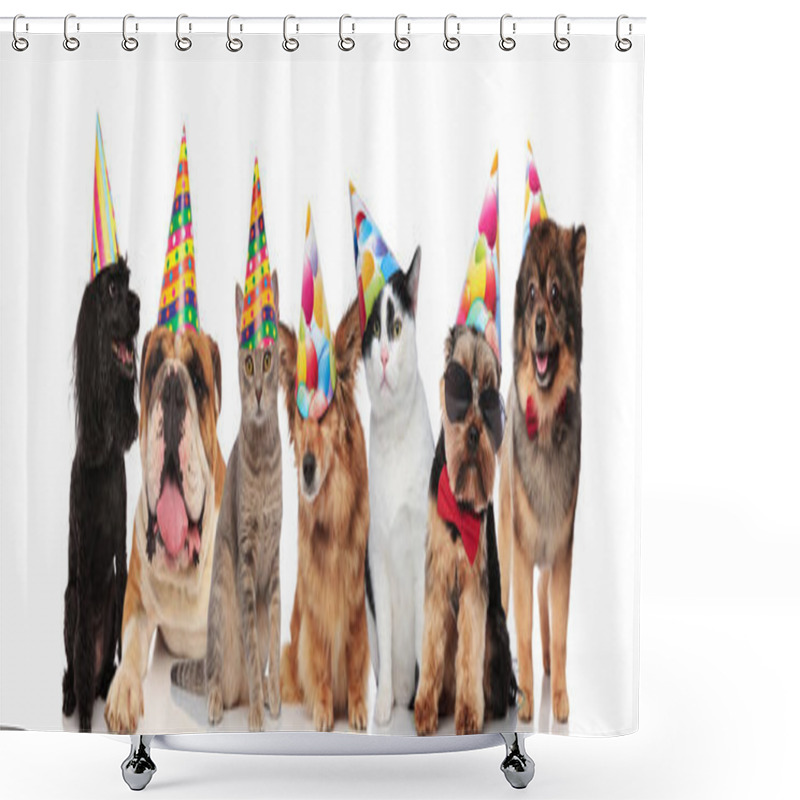 Personality  Group Of Seven Adorable Cats And Dogs On Birthday Party Sitting And Lying On White Background Shower Curtains