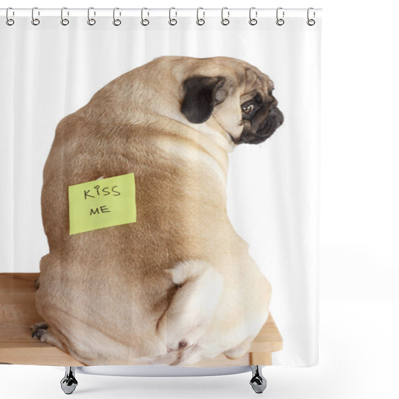 Personality  1 April Fool's Day. Funny Dog With Joke Sticker On Her Back Shower Curtains