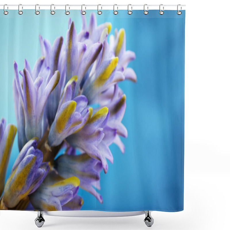 Personality  Blue Hyacinth Flowers Shower Curtains