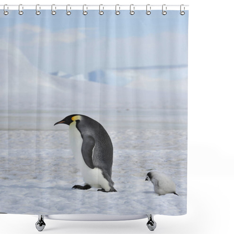 Personality  Emperor Penguin With Chick Shower Curtains