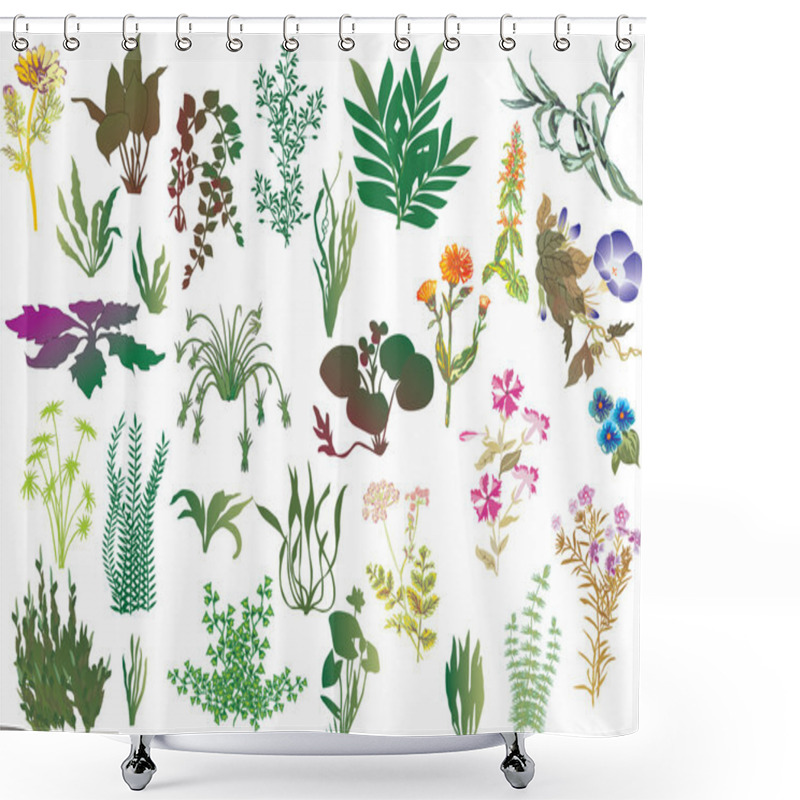 Personality  Collection Of Different Plants Shower Curtains