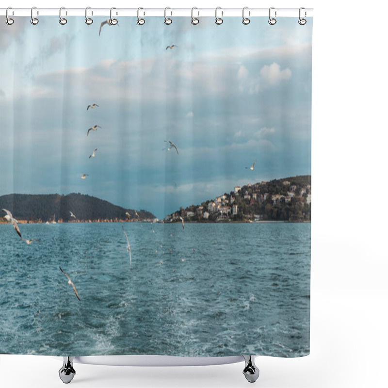 Personality  Seagulls Flying In Sky Over Blue Sea Of Bosporus In Turkey  Shower Curtains