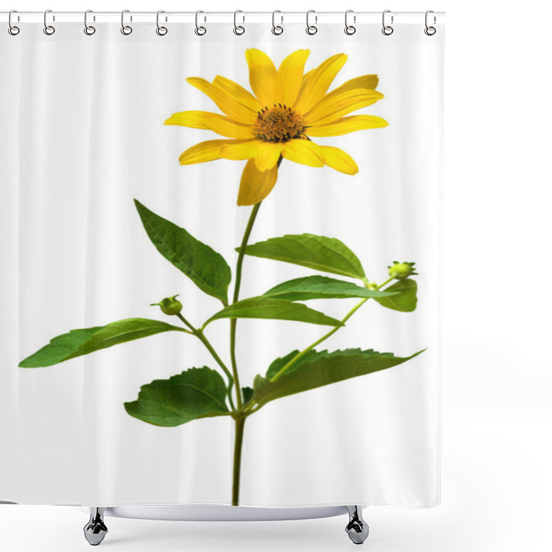 Personality  One Yellow Daisy Shower Curtains