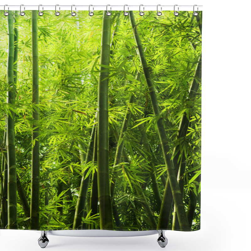 Personality  Bamboo Forest Shower Curtains