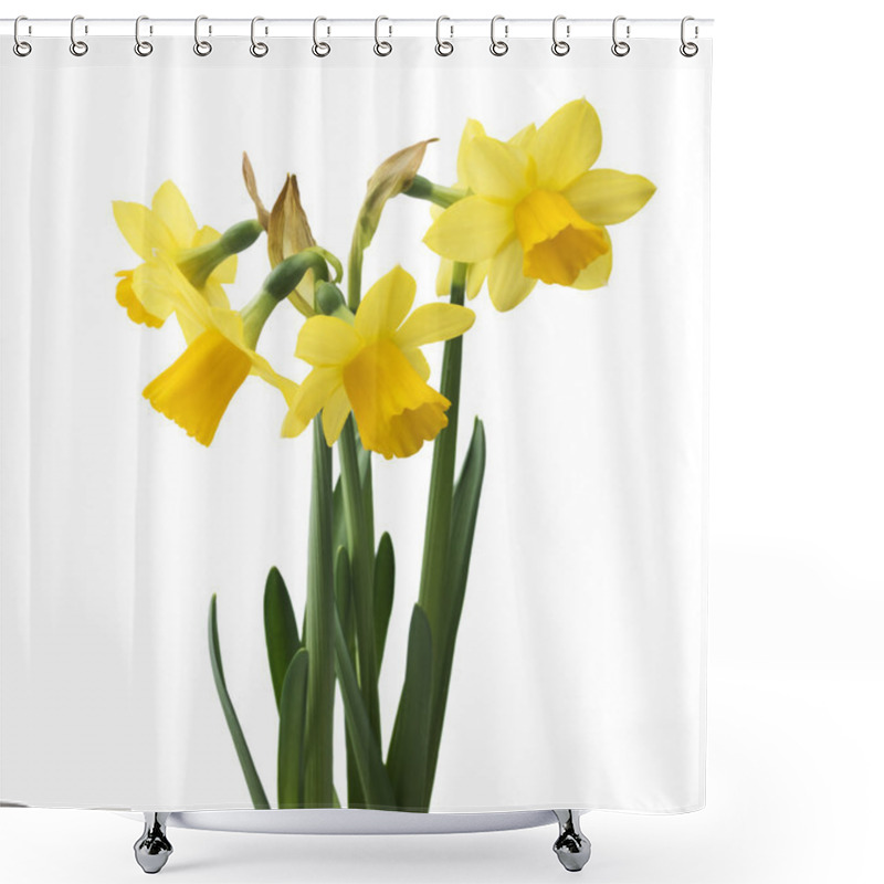 Personality  Daffodil Narcissus Flowers Shower Curtains