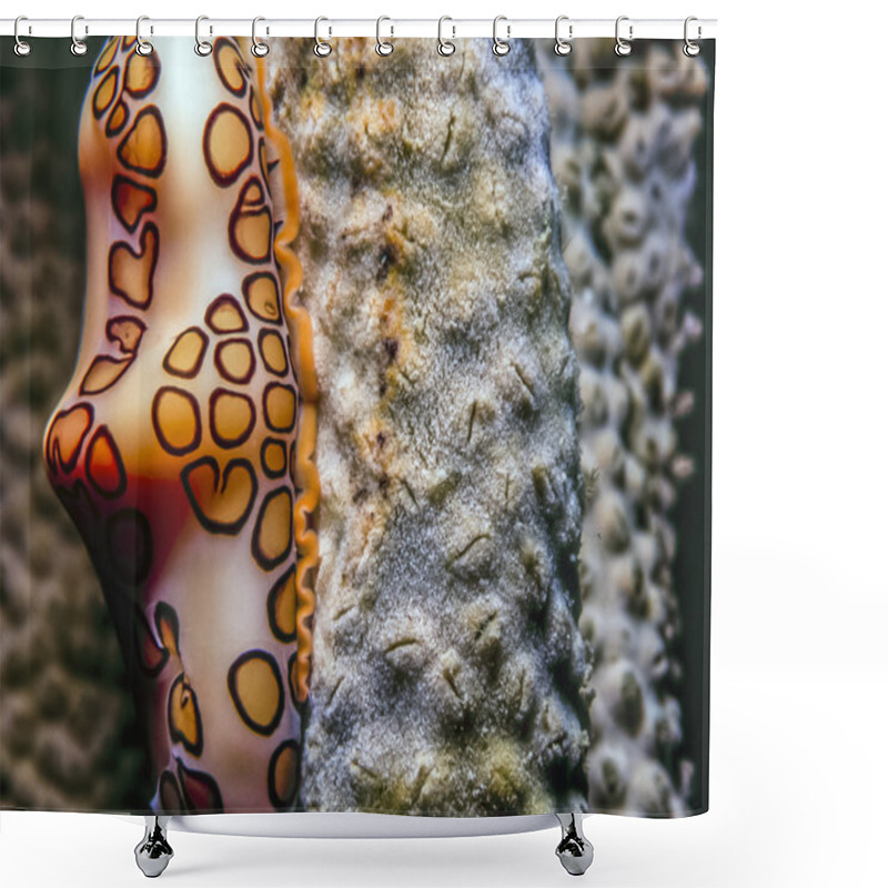 Personality  Underwater Coral Reef Shower Curtains