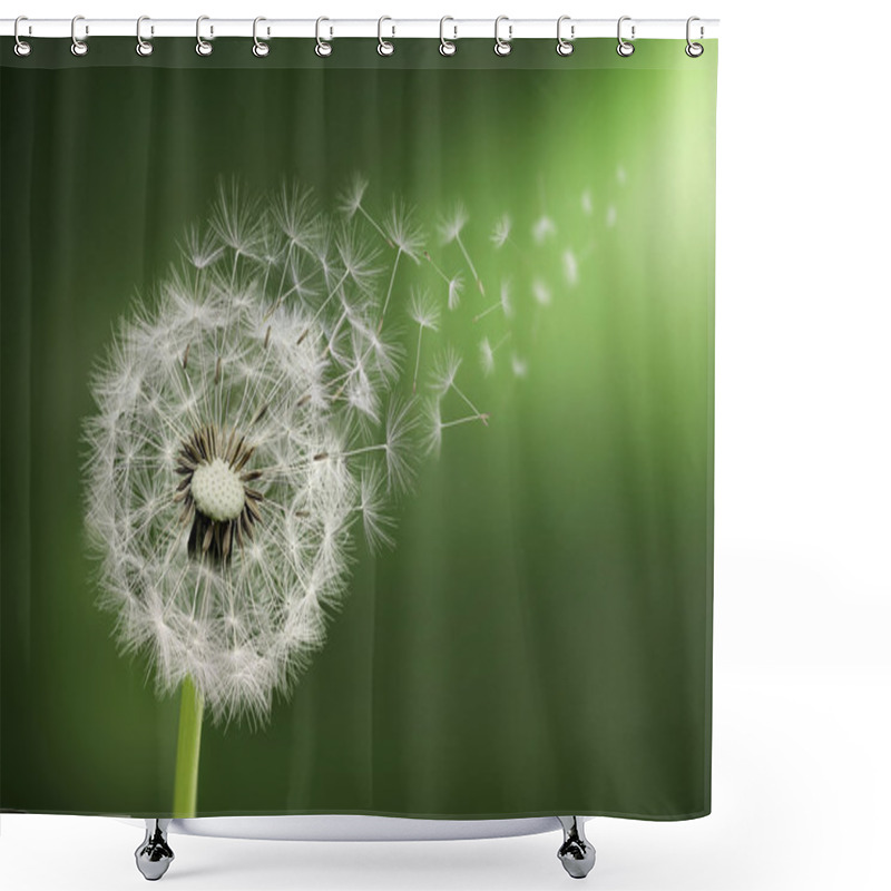 Personality  Dandelions Seed Flying Shower Curtains