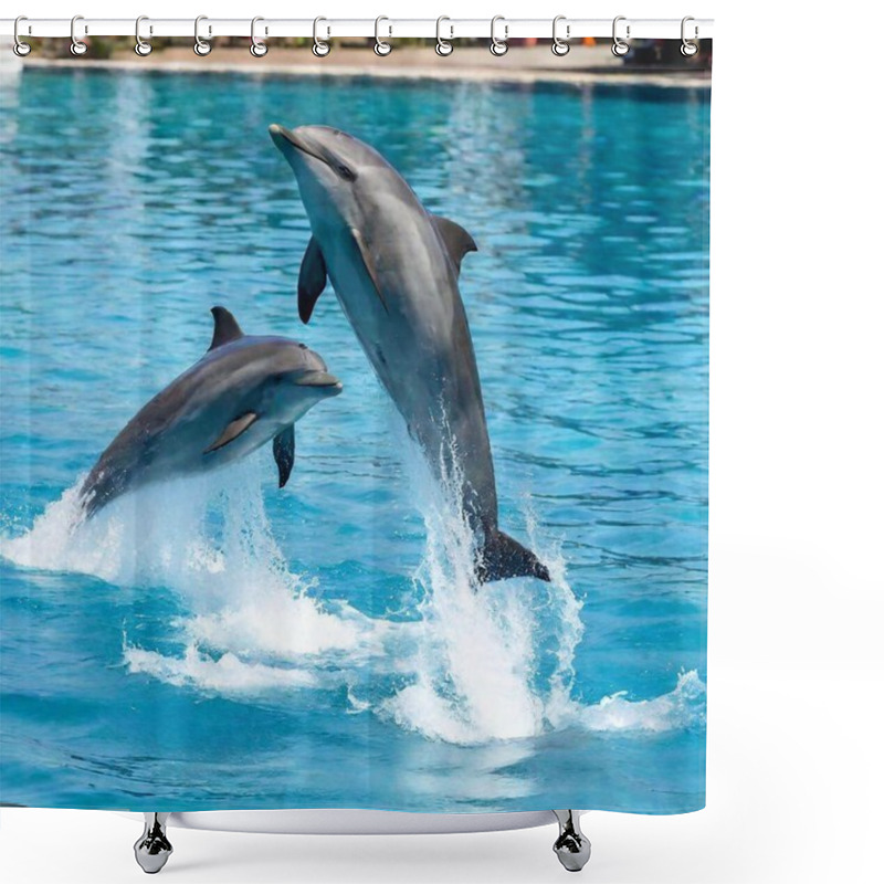 Personality  Dolphin In The Water Shower Curtains