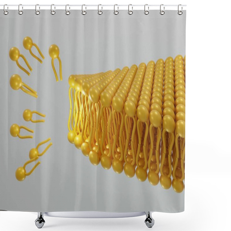 Personality  The Formation Of Phospholipids Into Bilayer 3d Rendering Shower Curtains