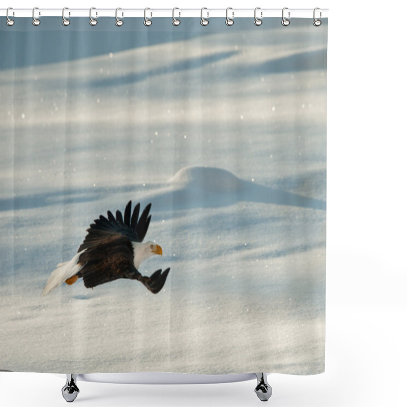 Personality  Flying Bald Eagle. Shower Curtains