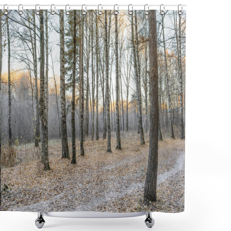 Personality  First Frost, Frost On The Grass, Frost On The Leaves, Frost On The Trees, Frozen Forest Shower Curtains