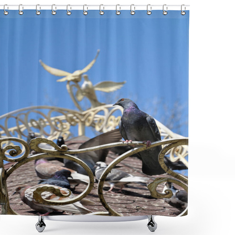 Personality  Blue-grey Dove Seating On The Forging Fence Shower Curtains