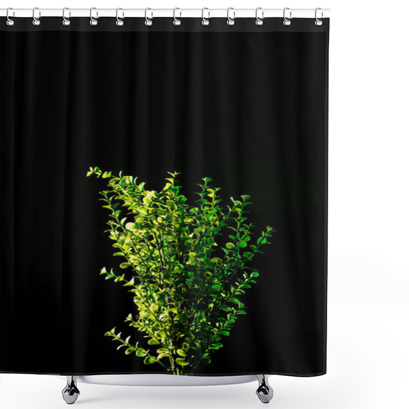 Personality  Close Up View Of Plant With Green Leaves Isolated On Black  Shower Curtains