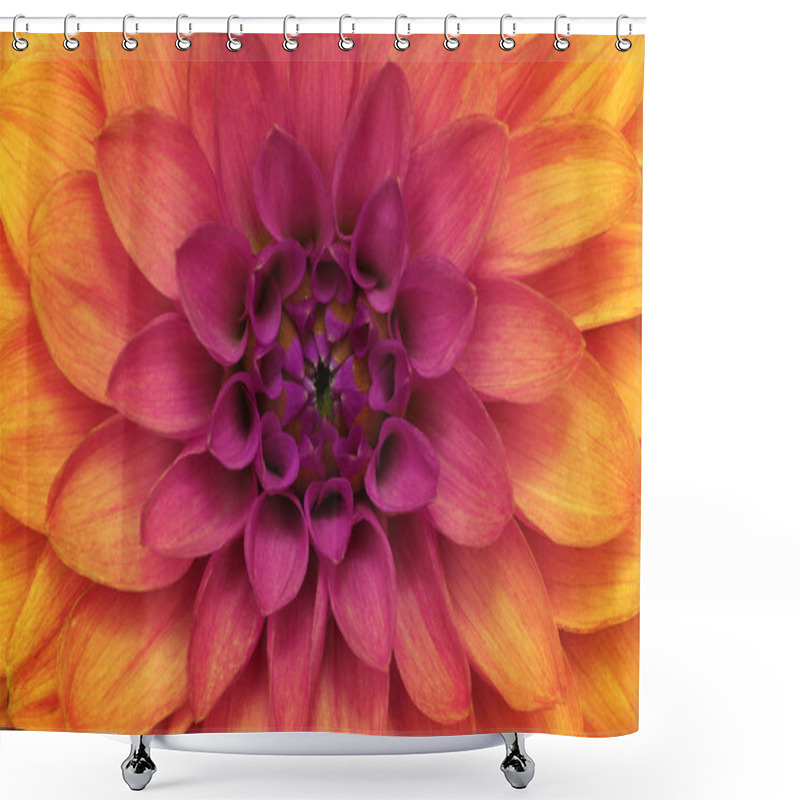 Personality  Flower And Beautiful Petals Shower Curtains