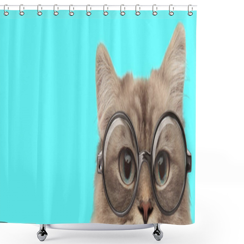 Personality  Funny Nerdy Metis Cat Hiding Her Face From Camera And Wearing Eyeglasses On Blue Background Shower Curtains