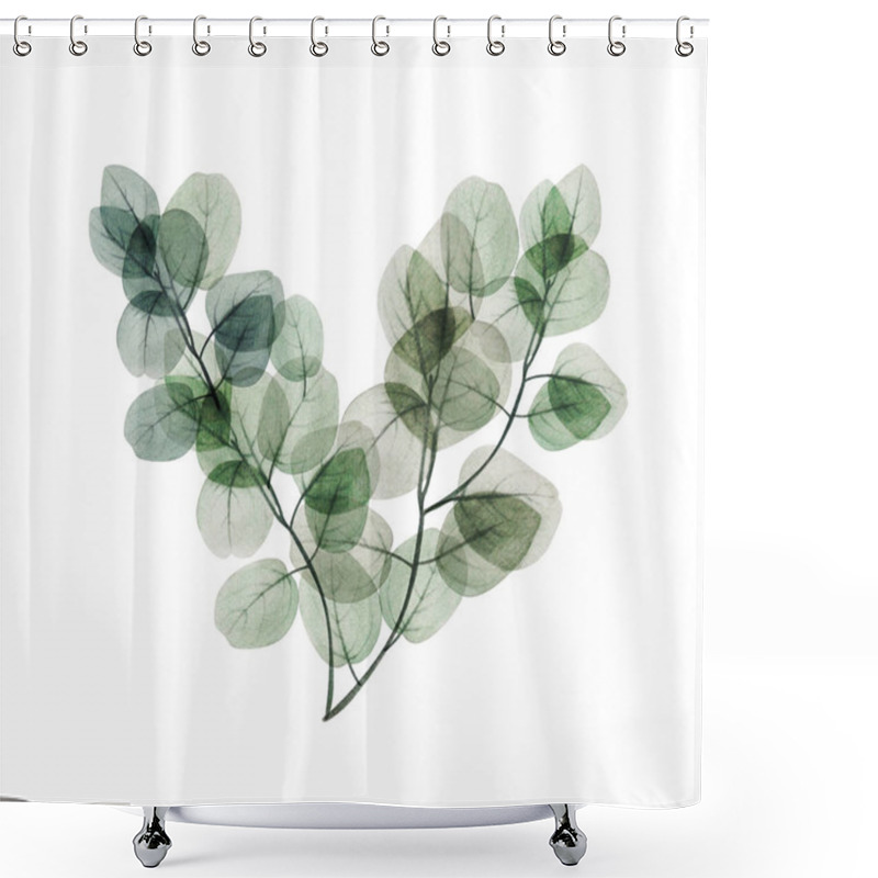 Personality  Watercolor Floral Eucalyptus Leaf Branch Heart. Hand Drawn Spring And Summer Illustration. Wedding, Birthday And Valentine Drawing. For Greeting Cards, Invitations, Floral Design, Patterns, Frame Templates. Flower Botanical Decoration. Shower Curtains