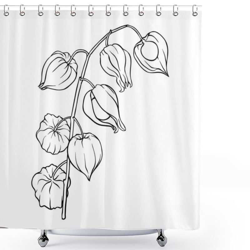 Personality  Phisalis Branch With Berries Outline Illustration. Vector Isolated For Design Or Decoration Shower Curtains