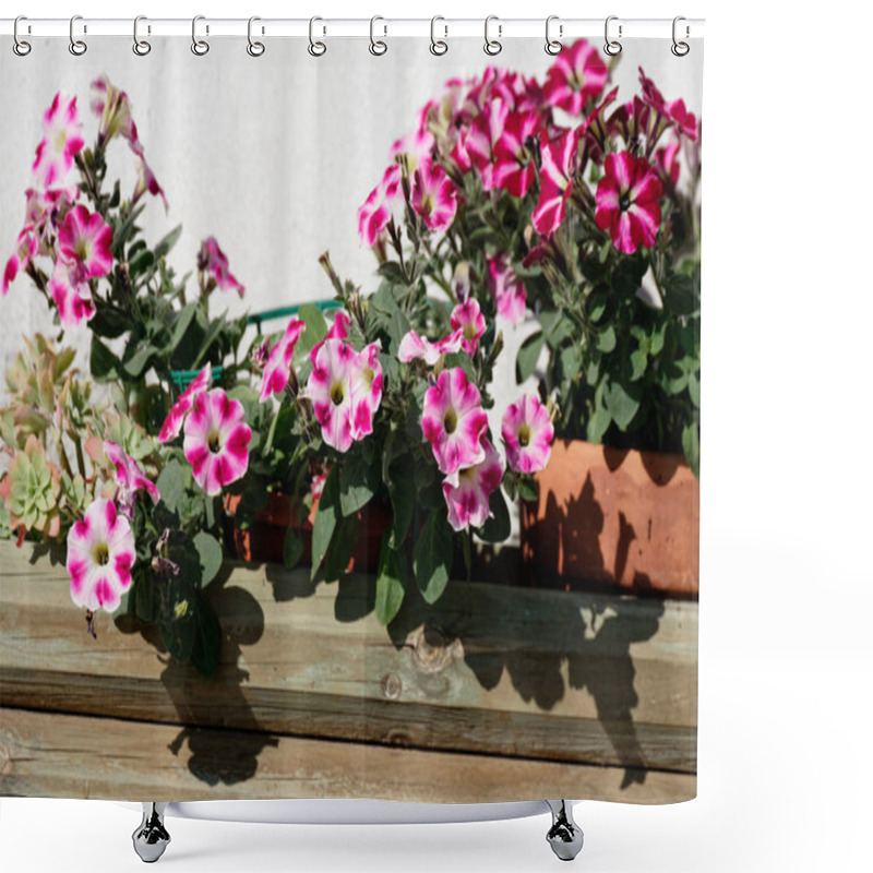 Personality  Detail Of Primula Flowers Shower Curtains