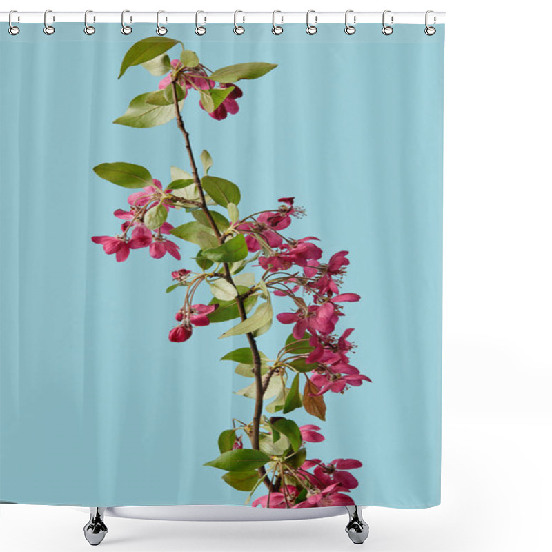 Personality  Close-up Shot Of Beautiful Sakura Blossom Isolated On Blue Shower Curtains