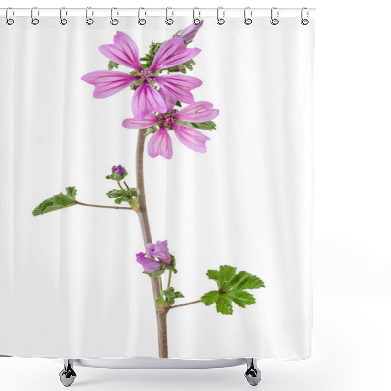 Personality  Beautiful Violet Flower Common Mallow (Malva Sylvestris) Isolated On A White Background. Shower Curtains