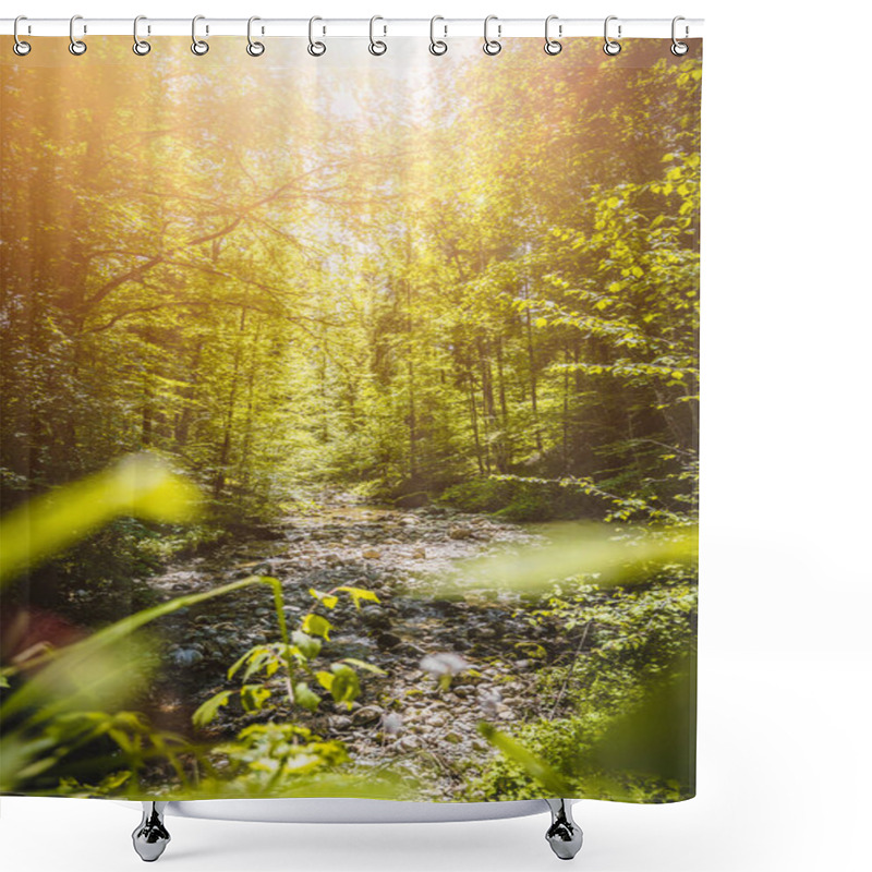 Personality  Beautiful Idyllic River And Forest Landscape In The Alps, Austria, Glasenbach Shower Curtains