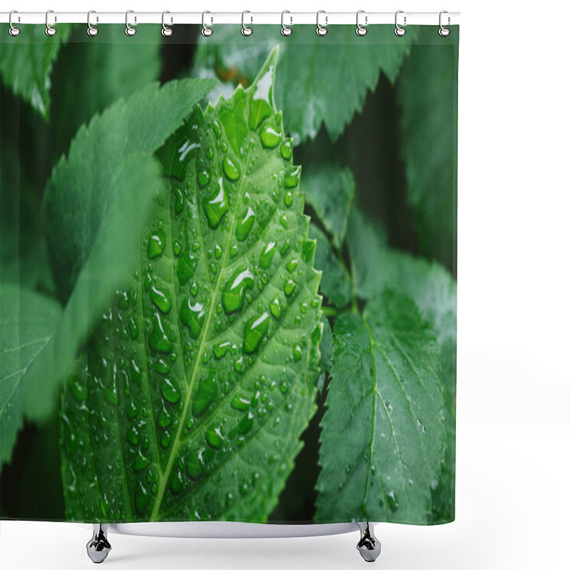 Personality  Foliage Shower Curtains