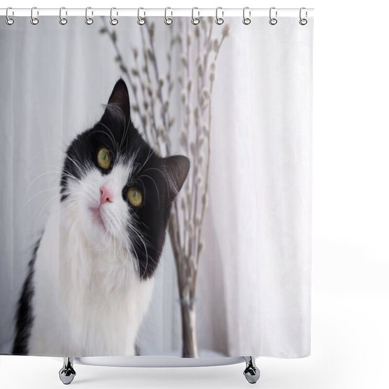 Personality  Portrait Of A Domestic Black And White Cat, Close-up Shower Curtains