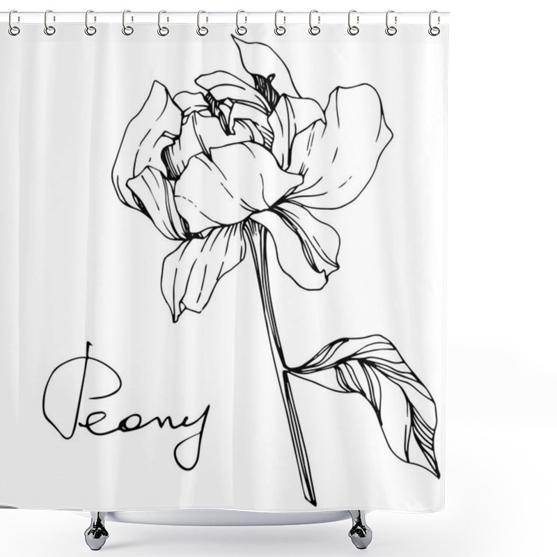 Personality  Vector Isolated Monochrome Peony Flower Sketch And Handwritten Lettering On White Background. Engraved Ink Art.  Shower Curtains