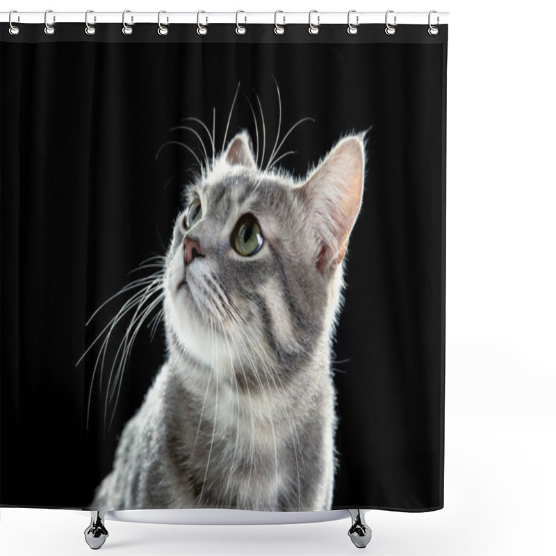 Personality  Cute Funny Cat Shower Curtains